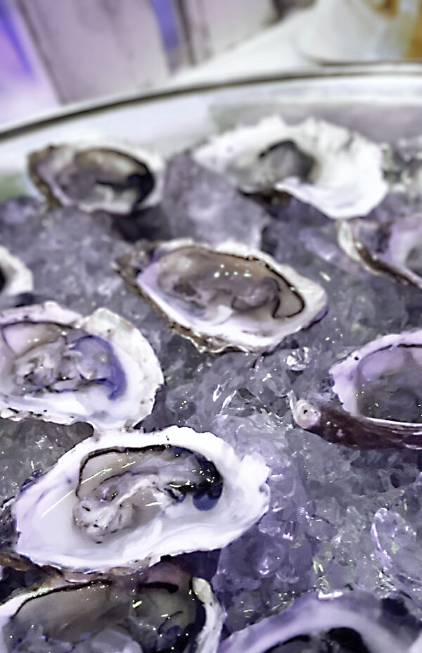 2026 Ball der Hüte © Herbert Öller